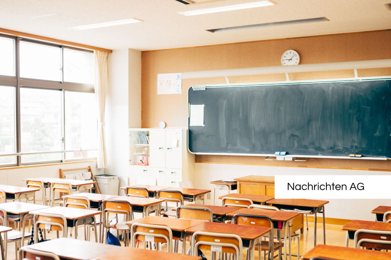 In Offenbach wütet eine Superkolonie: Ameisen plagen Schulen und Viertel!