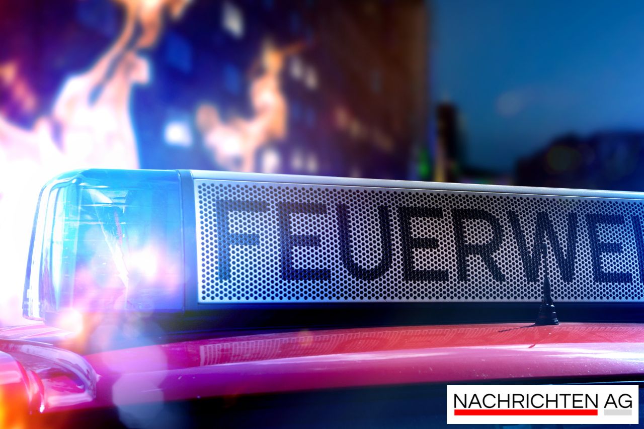 Halloween-Chaos in Nordhessen: Polizei verzeichnet 50 Einsätze!